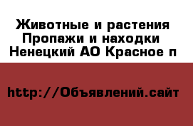 Животные и растения Пропажи и находки. Ненецкий АО,Красное п.